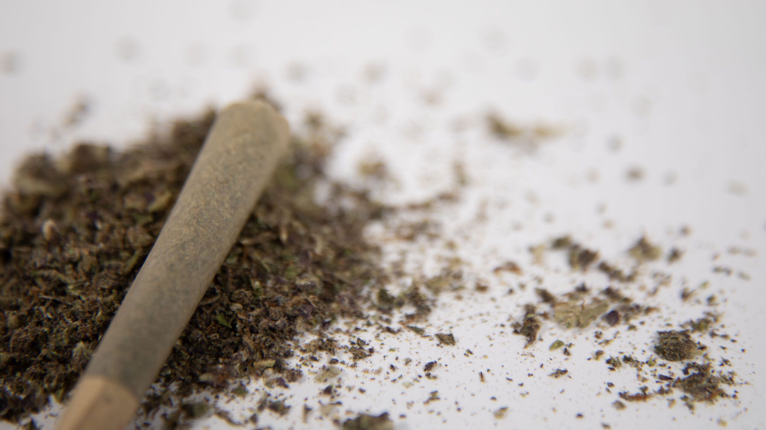 How Cannabis Found a Home in America’s Biker Community